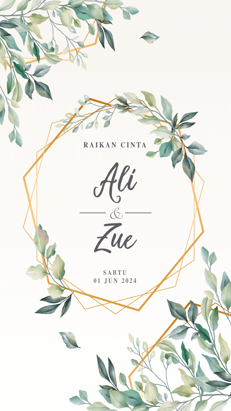 Ali-Zue.1.1